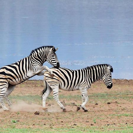 Tented Adventures Pilanesberg Exteriér fotografie