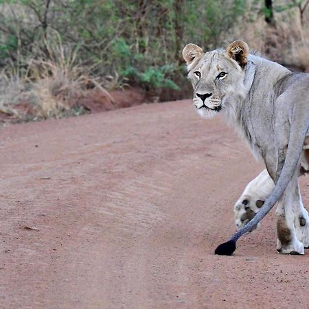 Tented Adventures Pilanesberg Exteriér fotografie