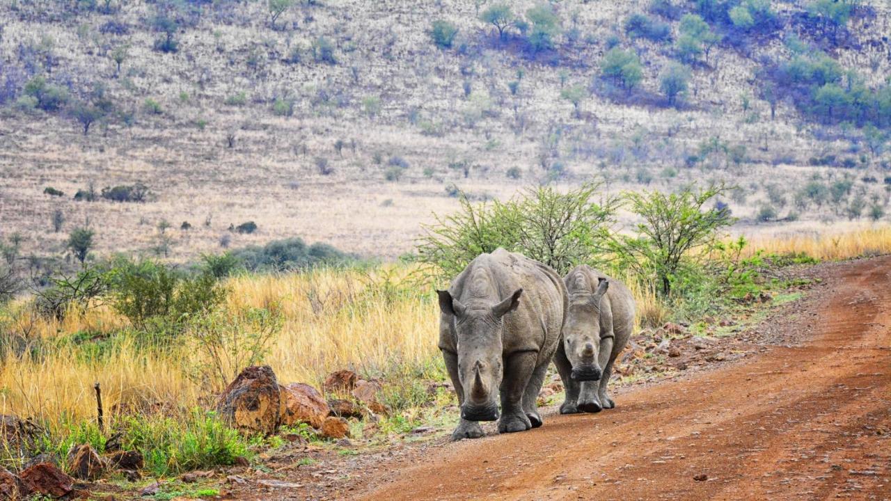 Tented Adventures Pilanesberg Exteriér fotografie